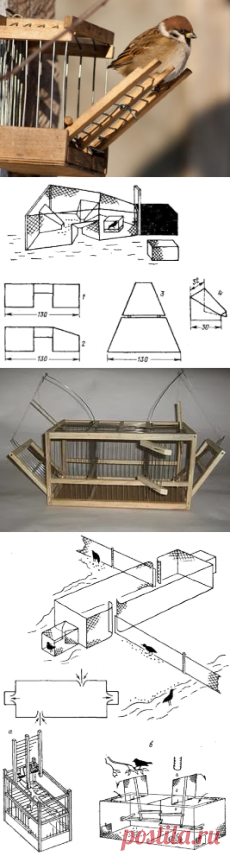 Несекретные материалы: How to make a trap for birds. Making a simple bird trap. 100 Ways to Trap a Backyard Bird. Trapping Birds of Prey. Setting traps for birds. The Simplest Bird Trap