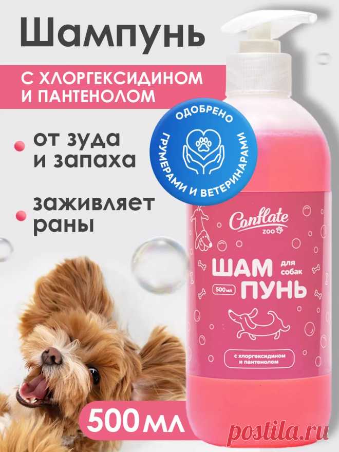 Шампунь для собак и кошек гипоаллергенный с хлоргексидином Conflate ZOO 5323783 купить за 252 ₽ в интернет-магазине Wildberries