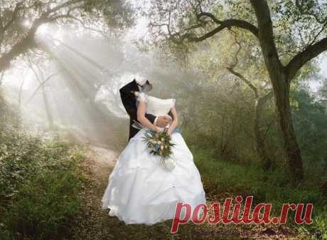 Жених для нашей дочери - Читать Рассказы