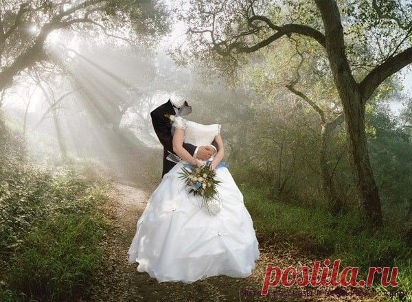 Жених для нашей дочери - Читать Рассказы