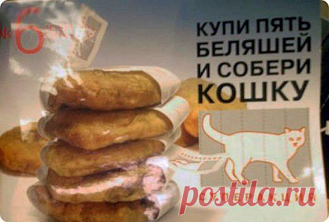 С юмором по жизни... | Как прекрасен этот мир