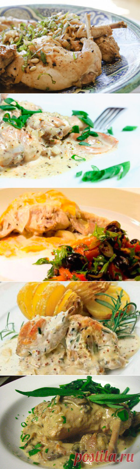 4 простых и вкусных рецепта тушеного кролика в сметане