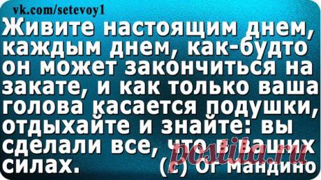 Сетевой маркетинг ✔ Подпишись