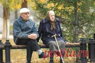 Какие налоги могут не платить пенсионеры и ветераны?