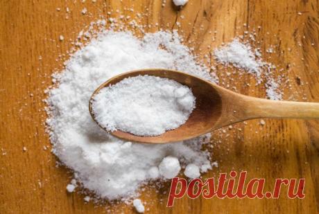 18 простых советов, которые будут полезны каждому дачнику