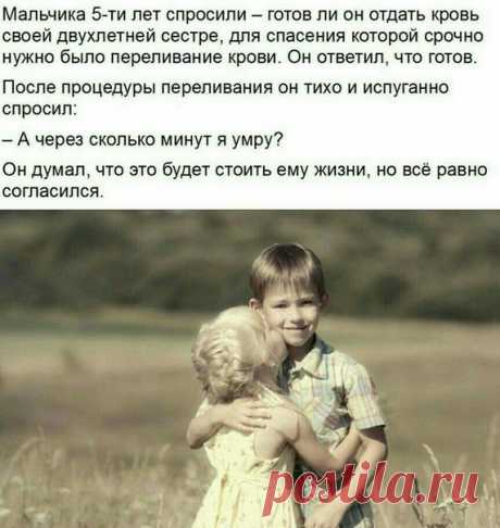 Настоящий русский мальчонка! 
#всяправдаорусах #братисестра #трогательнаяистория #самопожертвование #правильноевоспитание #любовькблизким #бережноеотношение #созидательность #сострадательность