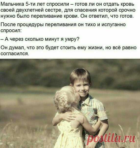 Настоящий русский мальчонка! 
#всяправдаорусах #братисестра #трогательнаяистория #самопожертвование #правильноевоспитание #любовькблизким #бережноеотношение #созидательность #сострадательность