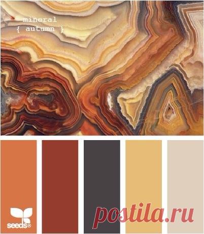 Международный университет декупажа