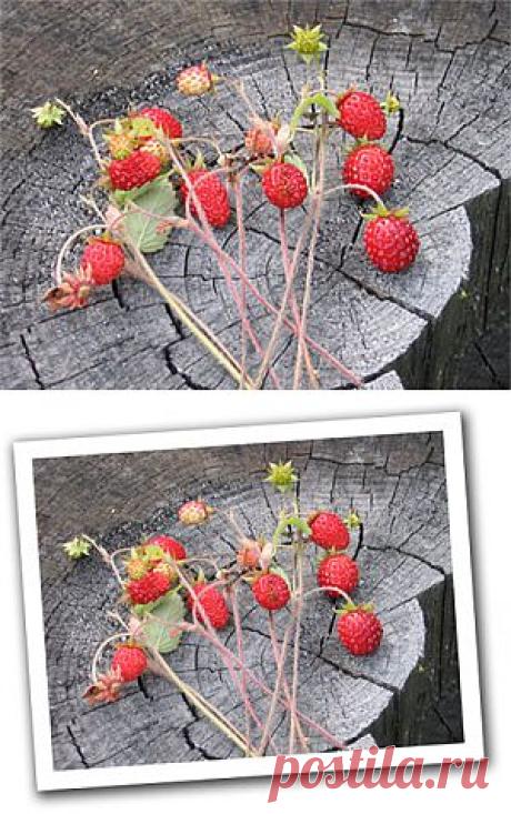Рисуем рамку / Photoshop уроки и всё для фотошоп - новые уроки каждый день!