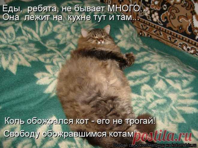 kotomatritsa_rE.jpg (Изображение JPEG, 750 × 562 пикселов)