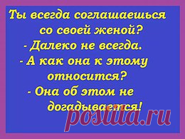 Анекдоты одной строкой Геннадия Малкина.