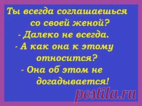 Анекдоты одной строкой Геннадия Малкина.