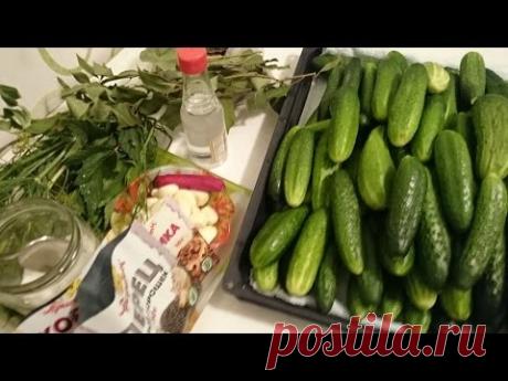 Малосольные огурцы рецепт засолка на зиму как приготовить вкусно хрустящие домашние быстро видео - YouTube