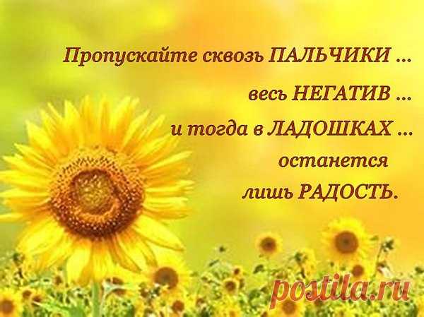 Затаите добро на меня!
Зла хватает на нашей планете.
Затаю я, в ответ, Вас любя.
За Добро мы ведь вместе в ответе.
На родных вы добро затаите
Им, прощая, что нет совершенства.
Только долго прошу, не храните,
А отдайте, светясь от блаженства!
(инет.)
