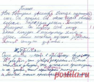 Дисграфия или дизорфография: как отличить и решить проблему безграмотности на письме? | Учитель-дефектолог Татьяна Гогуадзе | Яндекс Дзен