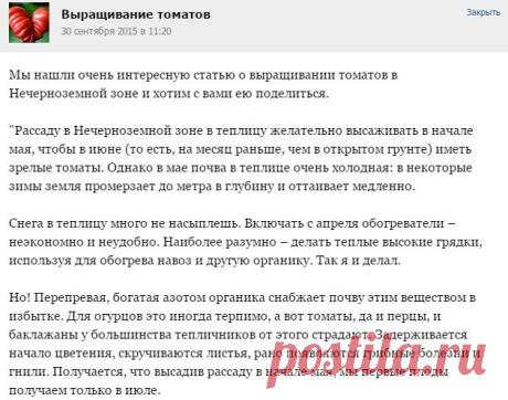 Выращивание томатов