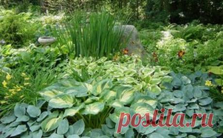Цветник в тени.ЗДЕСЬ--- https://www.botanichka.ru/blog/2010/05/05/plants-in-the-shade/