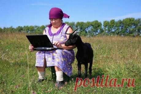 Кто в 21 веке будет считаться безграмотным