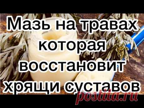 Травы которые восстановят хрящи суставов