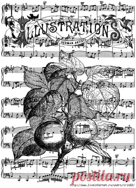 Принт на нотных листах