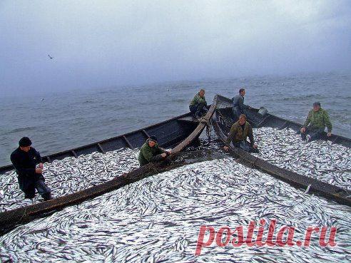 Одноклассники