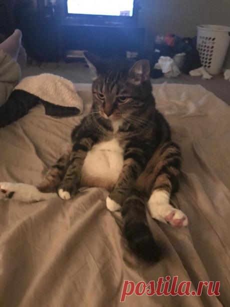 Кто на свете всех милее?