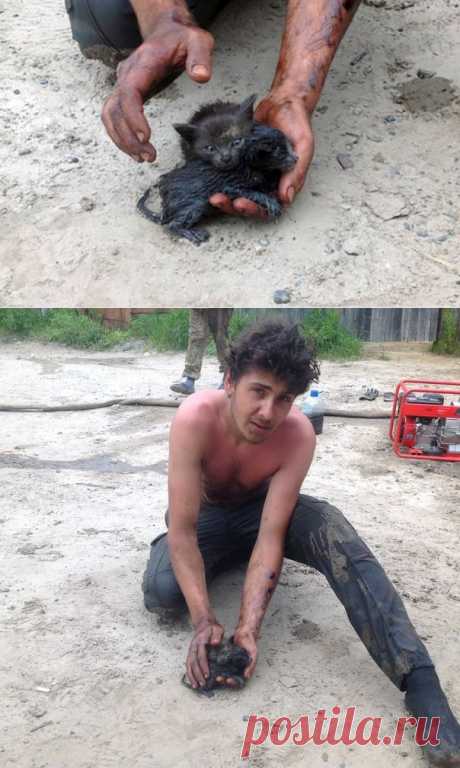 Житель Нефтеюганска спас двух котят из нефти | Все о наших питомцах