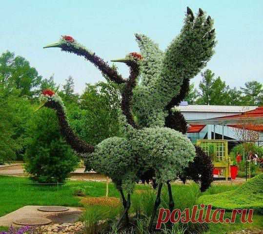 Валентина Ярош