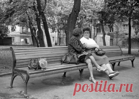 Разнообразные, редкие и интересные старые фотографии которые расскажут об истории нашей Родины и жизни людей в СССР. | ПО СЛЕДАМ СССР | Яндекс Дзен