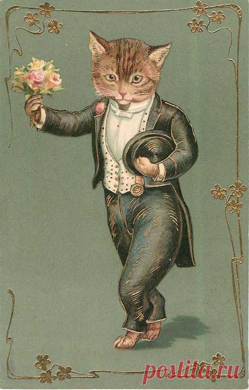 Vintage Postcards