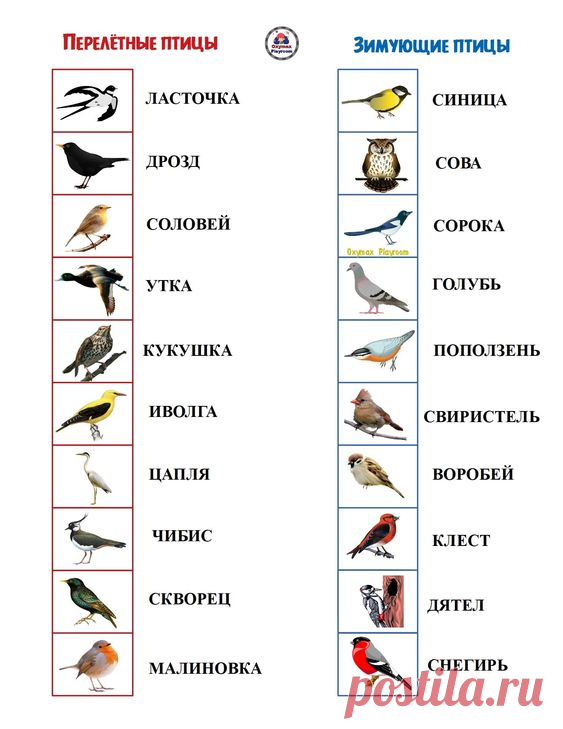 Развивающие игры для детей 