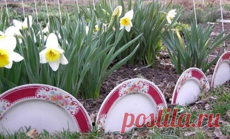 Вдыхаем жизнь в старые вещи