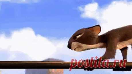 (3) Одноклассники