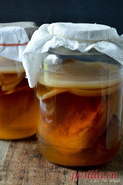 Осознание чайного гриба | Чай, херес и немного кофе | Яндекс Дзен