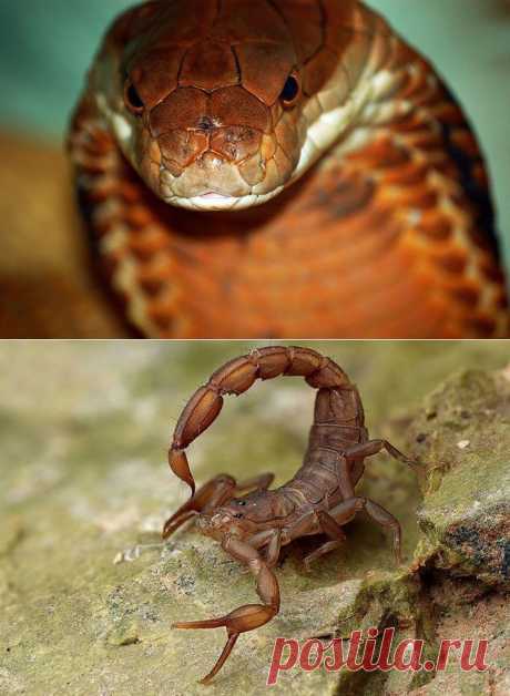 Самые дорогие жидкости в мире / Всё самое лучшее из интернета