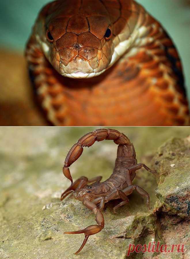 Самые дорогие жидкости в мире / Всё самое лучшее из интернета