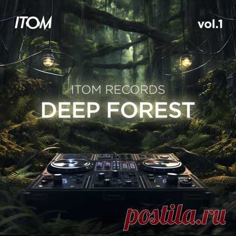 VA - Deep Forest, Vol. 1 ITRDF001 » MinimalFreaks.co