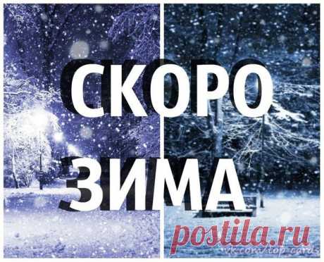 «Ноябрь - ворота зимы. Ноябрь - сентябрев внук, октябрев сын, зиме родной батюшка. Ноябрь - сумерки года.Устала Осень плакать листопадом.Деревья все разделись донага... Природа извещает: &quot;Зима рядом&quot;И снегом вся укуталась земля...В ноябре зима осторожно пробует свои силы – первые легкие морозы, пробные снегопады, все более уверенные с каждым разом. Все чаще ночные фонари освещают нам путь. Скоро нарядное белое покрывало укроет спящую землю...