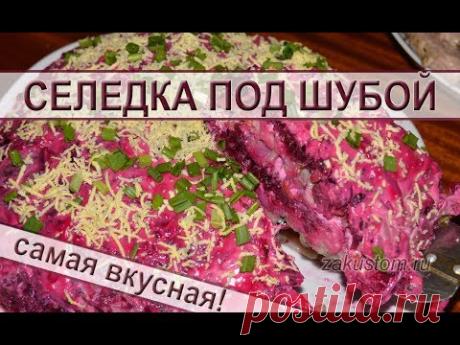 Видео сайта «Дачный участок»