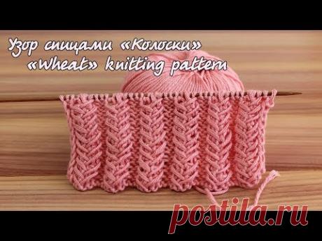 Узор спицами «Колоски» | «Wheat» knitting pattern