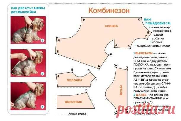 выкройка шапки с ушками кошки взрослый: 13 тыс изображений найдено в Яндекс.Картинках