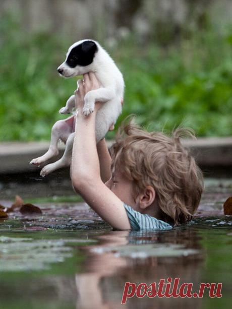 Больше, чем фото