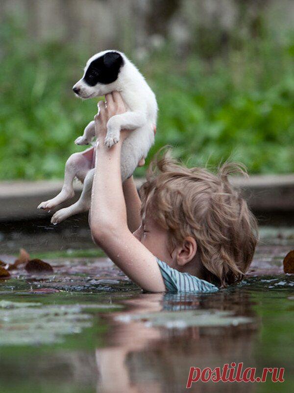 Больше, чем фото