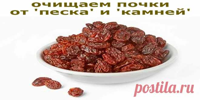 Немножко терпения — очищаем почки от ‘песка’ и ‘камней’ | Полезные советы!