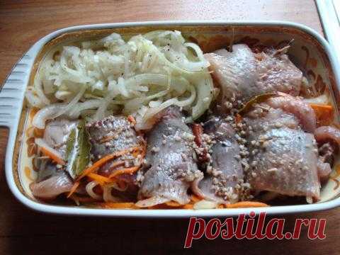 РОЛЬМОПСЫ | 4vkusa.ru