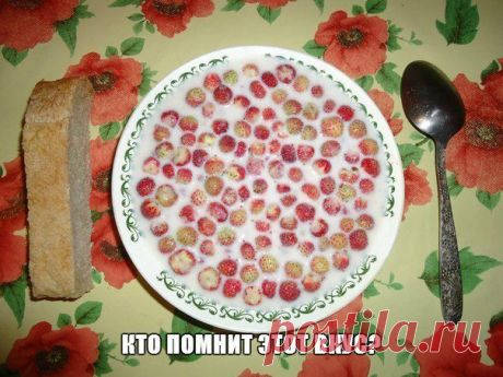 Вы выросли в 90-ые если...