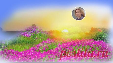 Как быстро прийти в норму и заняться нужными делами после перерыва: 3-минутная практика | Ольга Зимихина | Яндекс Дзен