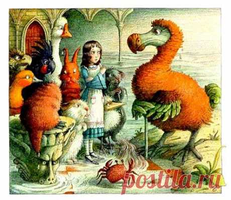 птица додо алиса в стране чудес: 4 тыс изображений найдено в Яндекс.Картинках