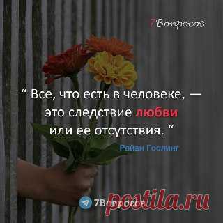 7Вопросов “ Все, что есть в человеке, — это следствие любви или ее отсутствия. “ © Райан Гослинг
