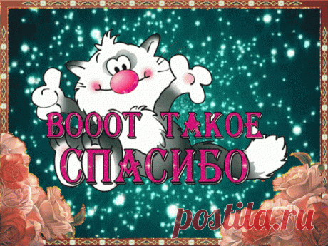 СПАСИБО РЕДАКТОРУ